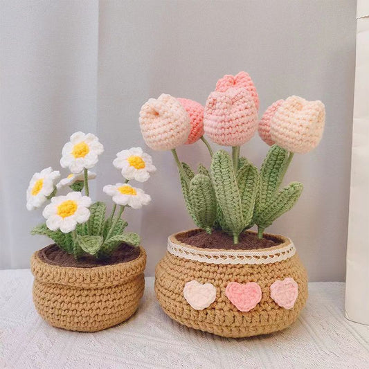 Hand-Woven Potted Plants