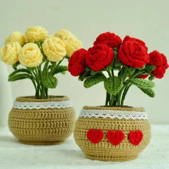 Hand-Woven Potted Plants